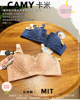 🇹🇼台灣製 ✅ MIT《 Camy 卡米 》 圓挺薄棉挺杯 健康無鋼圈防乳腺阻塞 內衣