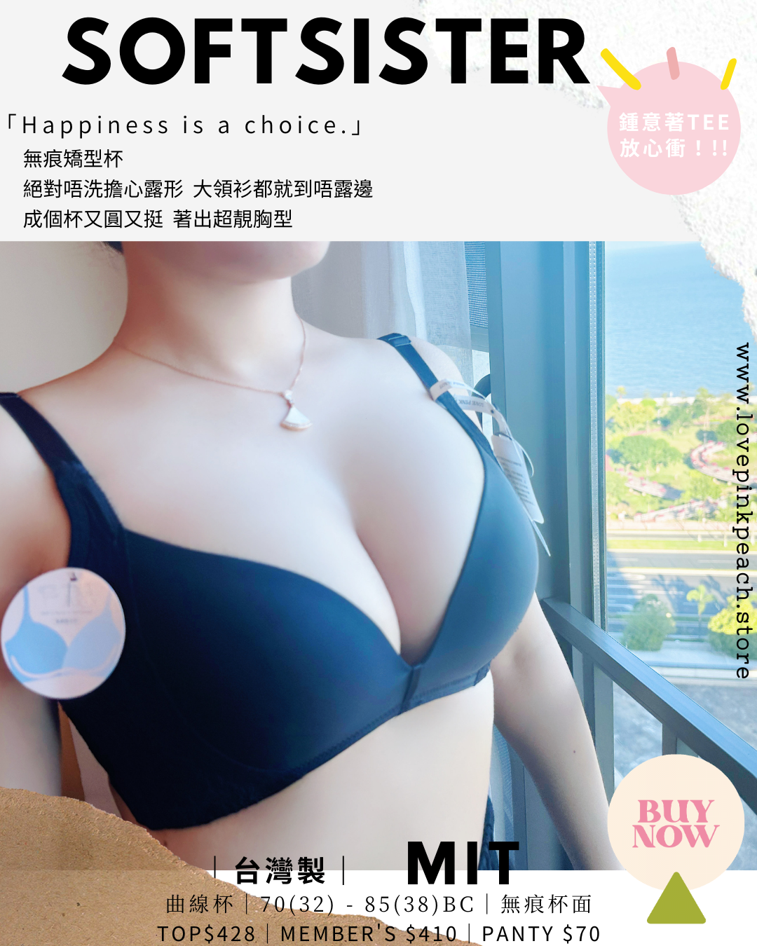 🇹🇼台灣製 ✅ MIT《 SoftSister 》曲線杯 無鋼圈 防乳腺阻塞  高包覆度深谷集中  矯型