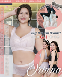 『 Oriana 』 |全功能解決N種胸型問題