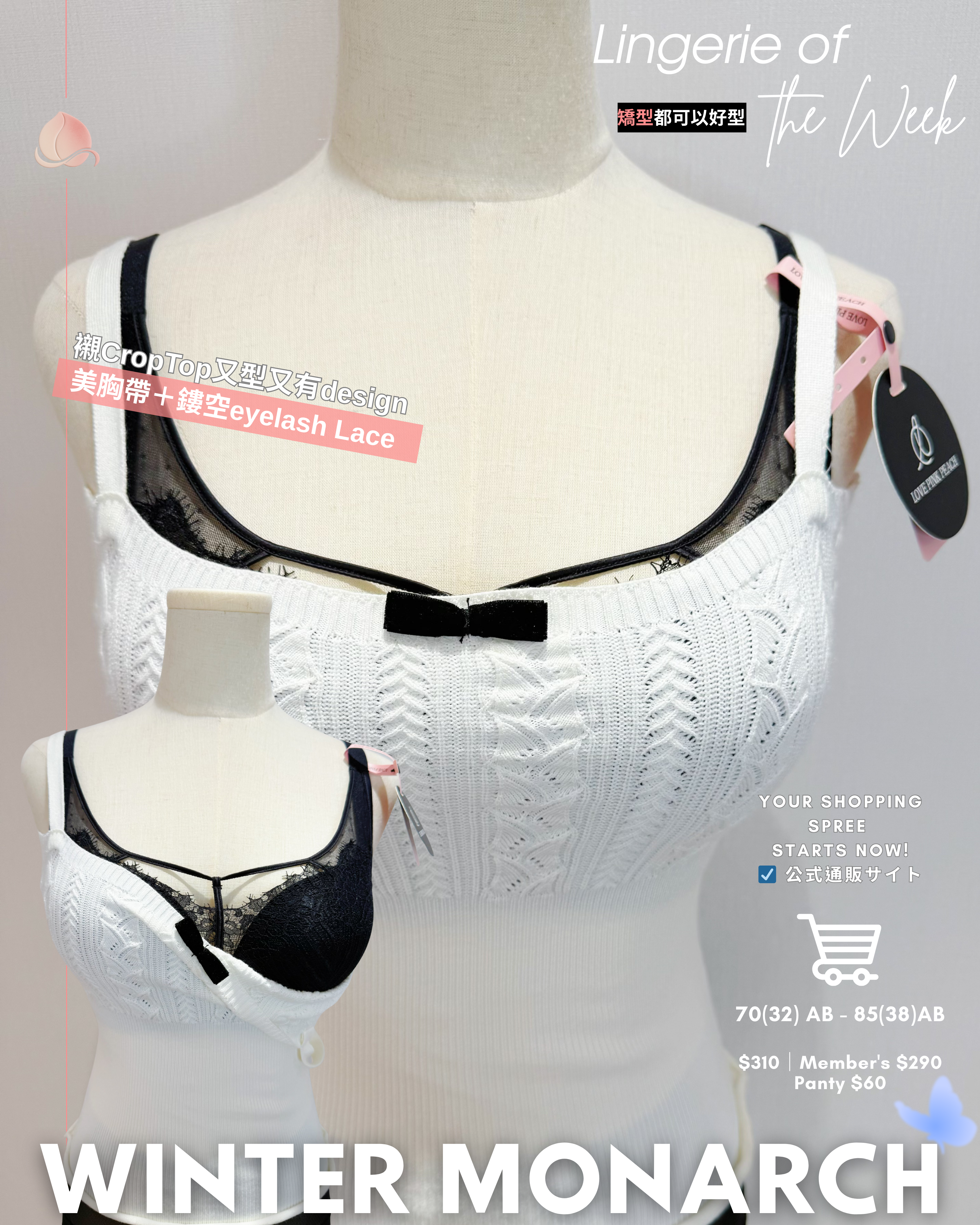 『 Winter Monarch 』 | Eyelash Lace 精緻高級