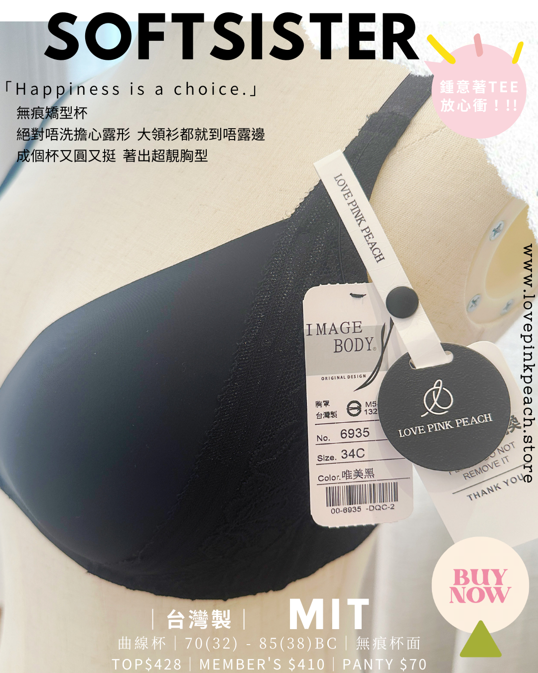 🇹🇼台灣製 ✅ MIT《 SoftSister 》曲線杯 無鋼圈 防乳腺阻塞  高包覆度深谷集中  矯型