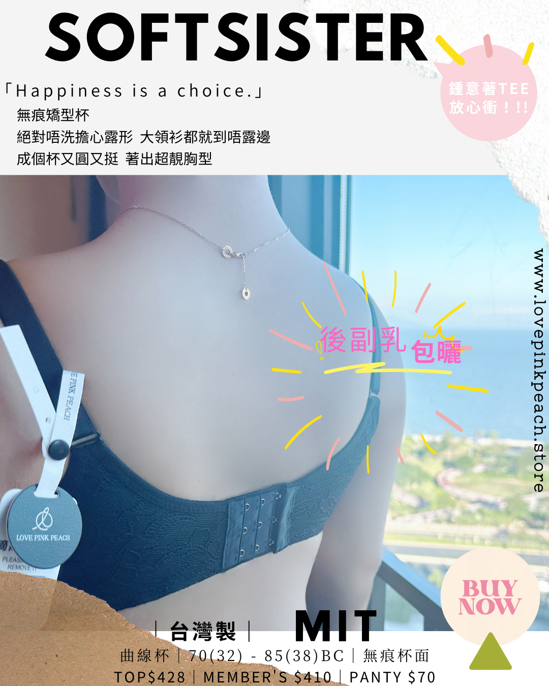 🇹🇼台灣製 ✅ MIT《 SoftSister 》曲線杯 無鋼圈 防乳腺阻塞  高包覆度深谷集中  矯型