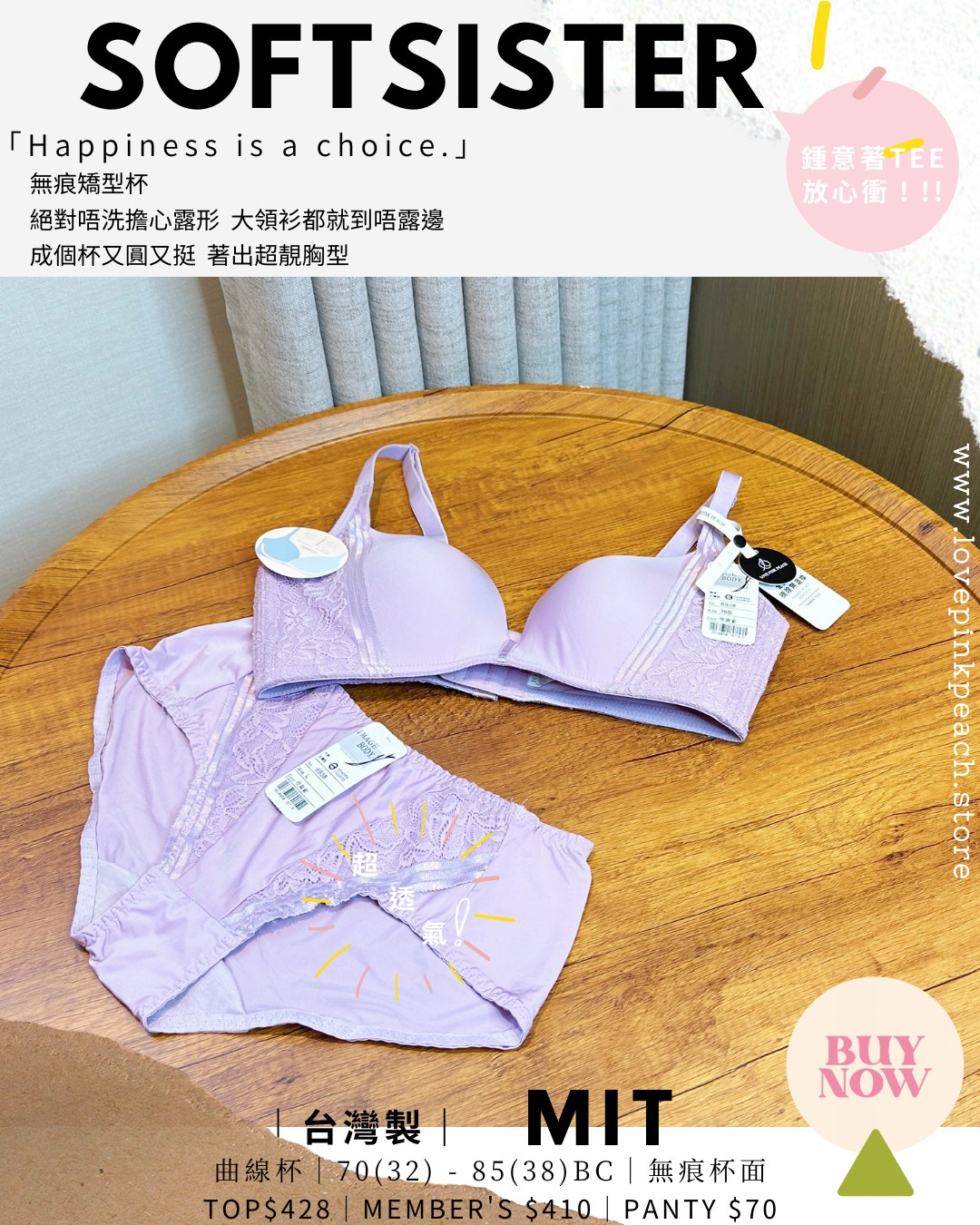 🇹🇼台灣製 ✅ MIT《 SoftSister 》曲線杯 無鋼圈 防乳腺阻塞  高包覆度深谷集中  矯型